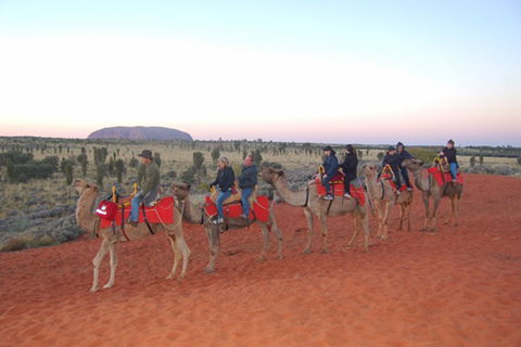 Ayers Rock - Outback Pioneer Lodge - Holiday Jervis Bay 1