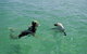 Coodlie Park - Port Kenny - Venus Bay - thumb 3