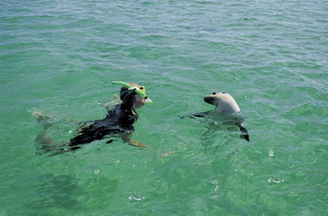 Coodlie Park - Port Kenny - Venus Bay - Holiday Jervis Bay 3
