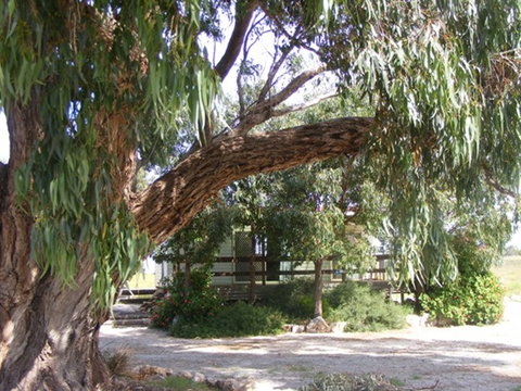 Coodlie Park - Port Kenny - Venus Bay - Holiday Jervis Bay 4