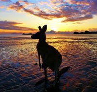Cape Hillsborough Nature Tourist Park - Holiday Jervis Bay