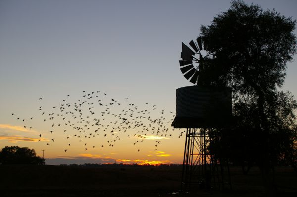 Tooraweenah NSW Holiday Jervis Bay