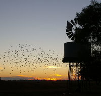 Nevertire Hotel - Holiday Jervis Bay