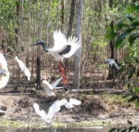 Rakhi Retreat - Holiday Jervis Bay