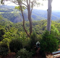 Mt Tamborine Motel - Holiday Jervis Bay