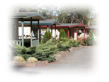 Kapunda Tourist Park - Holiday Jervis Bay 1