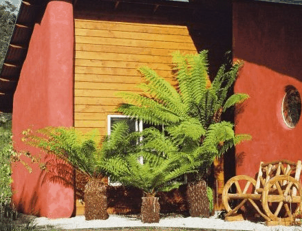 Whispering Spirit Cottage  Miniature Pony Stud - Holiday Jervis Bay