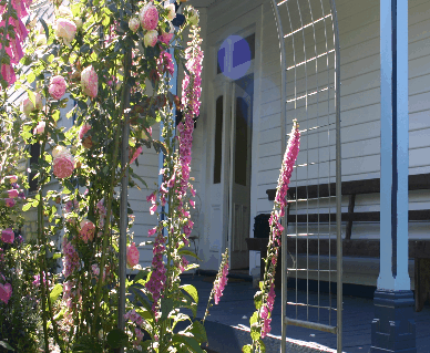 Devonport Bed And Breakfast - Holiday Jervis Bay