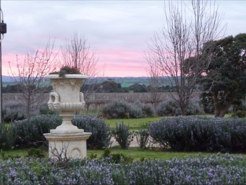 Angas Plains Estate Wines Heritage Suite - Holiday Jervis Bay 4