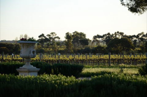 Angas Plains Estate Wines Heritage Suite - Holiday Jervis Bay 6