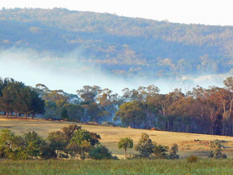 Candlebark Retreat - Holiday Jervis Bay 1
