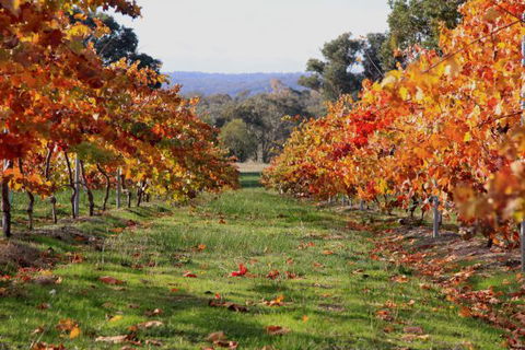 Candlebark Retreat - Holiday Jervis Bay 2
