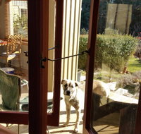 Mara Ponds Branxholm - Holiday Jervis Bay