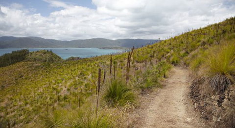 Molle Island National Park (Whitsundays National Park) Camping Ground - Holiday Jervis Bay 2