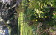 Beulah Heritage Accommodation - thumb 3