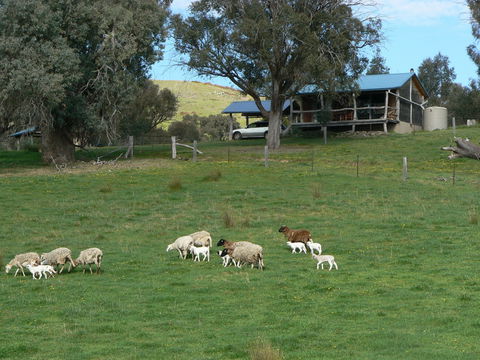 Gaddleen Grove Cottages - Holiday Jervis Bay 0