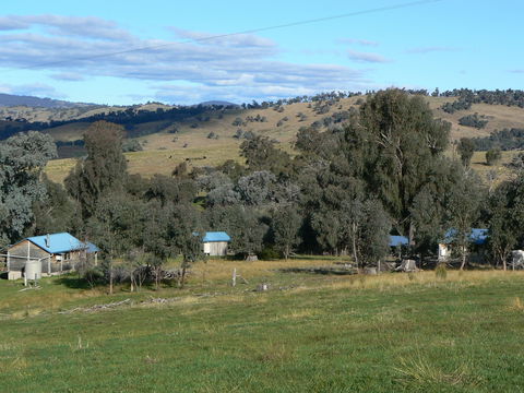 Gaddleen Grove Cottages - Holiday Jervis Bay 7