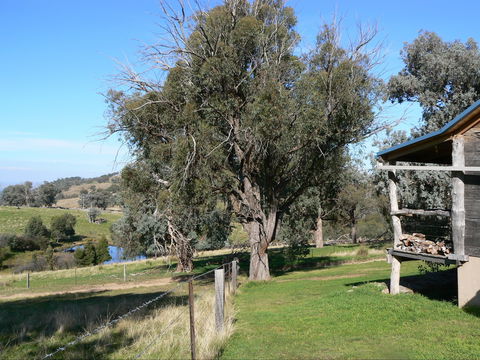 Gaddleen Grove Cottages - Holiday Jervis Bay 9
