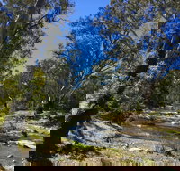 Highfield Farm and Woodland Bush Campsites - Holiday Jervis Bay