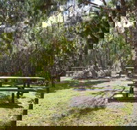 Illaroo group camping area - Holiday Jervis Bay