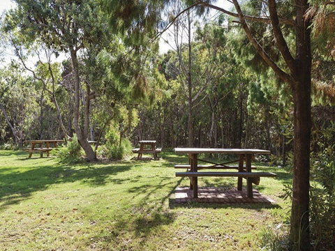 Illaroo Group Camping Area - Holiday Jervis Bay 0