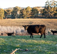 Lone Pine Homestead - Holiday Jervis Bay