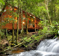 The Mouses House - Rainforest Retreat - Holiday Jervis Bay