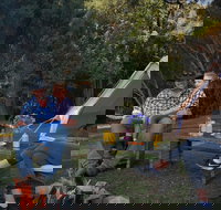 Zeehan Bush Camp - Holiday Jervis Bay