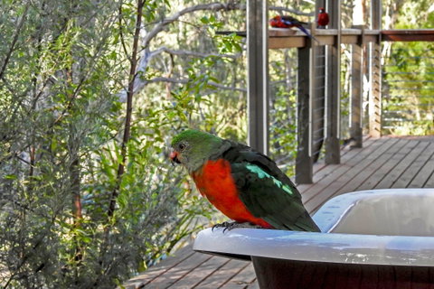 Araluen Park Cottages - Holiday Jervis Bay 2