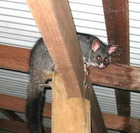 Warren River Resort - Holiday Jervis Bay