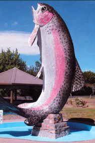 Anglers Reach Caravan Park - Holiday Jervis Bay 3