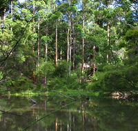 Peppermint Grove Retreat - Holiday Jervis Bay