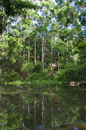 Peppermint Grove Retreat - Holiday Jervis Bay 0