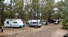 Lake Navarino Holiday Park - Holiday Jervis Bay 3