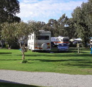 Pinjarra Caravan Park - Holiday Jervis Bay