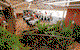 Avalon Homestead - thumb 4