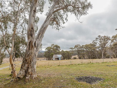 Cooinbil Hut Campground - Holiday Jervis Bay 2