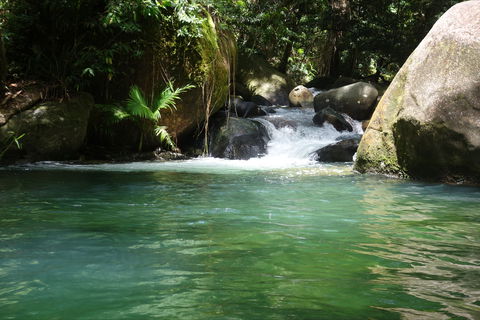 Daintree Secrets Rainforest Sanctuary - Holiday Jervis Bay 0