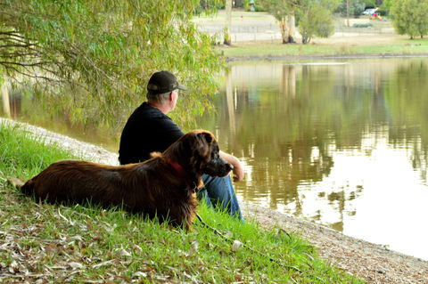Diamond Forest Farm Stay - Holiday Jervis Bay 2