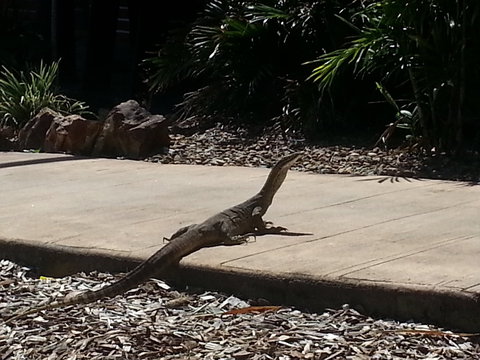 Escape 1770 - Holiday Jervis Bay 2