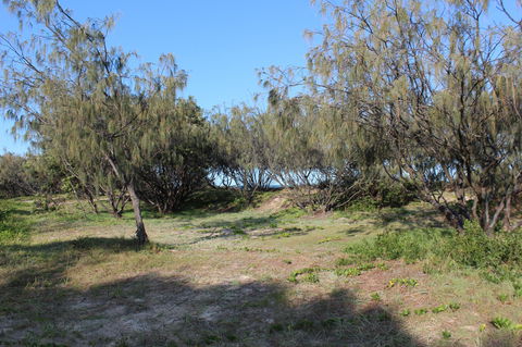 K'gari (Fraser Island) Camping, Great Sandy National Park - Holiday Jervis Bay 1