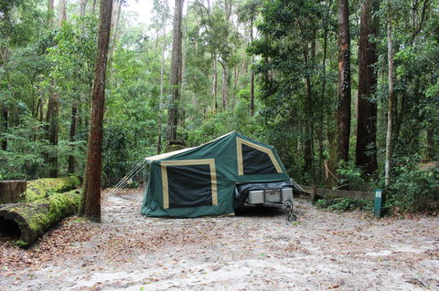 K'gari (Fraser Island) Camping, Great Sandy National Park - Holiday Jervis Bay 2