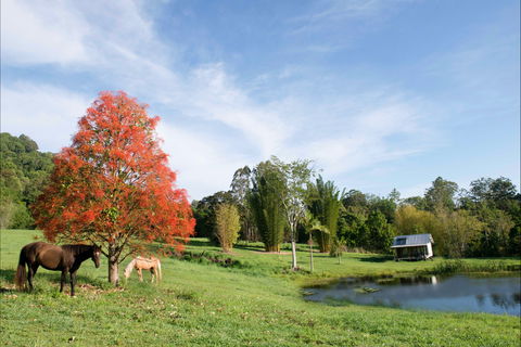 Nimbin Waterfall Retreat - Holiday Jervis Bay 1