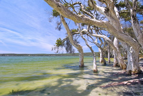 Shoal Cape Camp At Stokes National Park - Holiday Jervis Bay 0