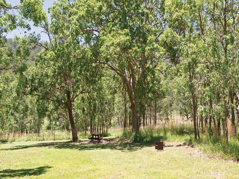 Youdales Hut Campground And Picnic Area - Holiday Jervis Bay 0