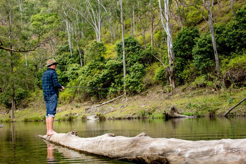 Bass Lodge - Holiday Jervis Bay 0