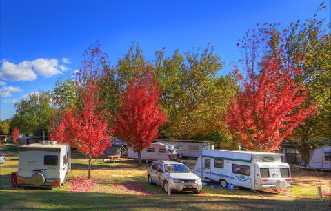 Beechworth Lake Sambell Caravan Park - Holiday Jervis Bay 0