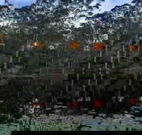 Billabong Retreat - Holiday Jervis Bay