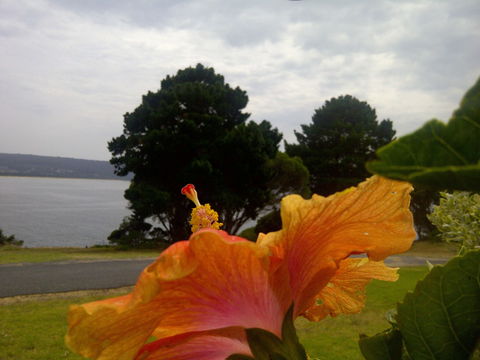 Eden Oceanview - Holiday Jervis Bay 1