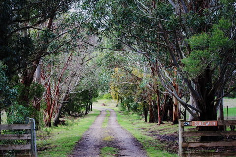 Galwiji Homestead - Holiday Jervis Bay 1